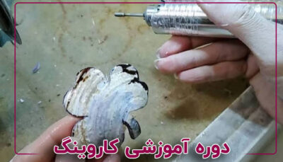 دوره کاروینگ